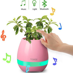 Tokqi Roze LED Bloempot
