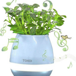 Tokqi Blauw LED Bloempot